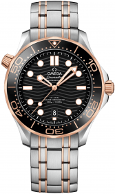 Omega Seamaster Diver 300M Co-Axial Master Chronometer 42 mm 210.20.42.20.01.001
