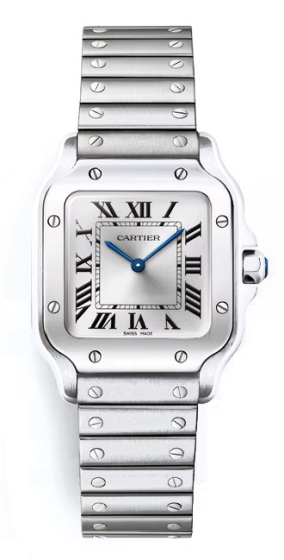 Cartier Santos De Cartier Small Model WSSA0082
