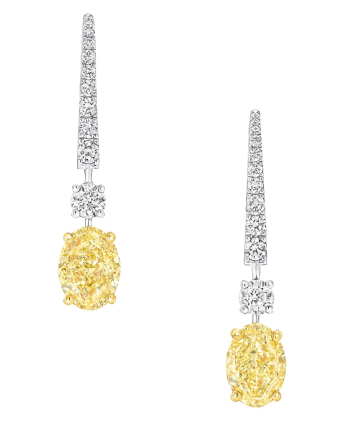 Серьги Graff Classic Graff Oval Yellow Diamond Solitaire Earrings YOTSW01