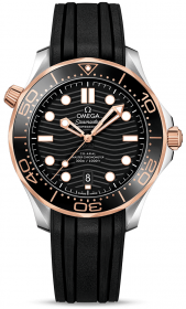 Omega Seamaster Diver 300M Co-Axial Master Chronometer 42 mm 210.22.42.20.01.002