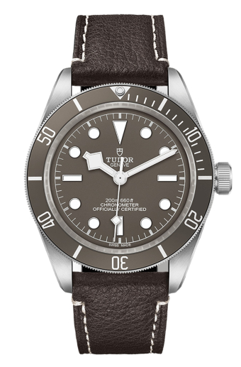 Tudor Black Bay 58 925 39 mm M79010SG-0001