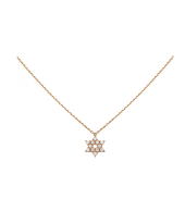 Колье Cartier Symbol Necklace  B3153116