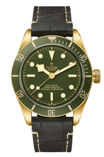 Tudor Black Bay 58 18K 39 mm M79018V-0001