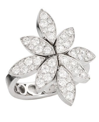 Кольцо Pasquale Bruni Ghirlanda Luce Di Loto Ring 16692B