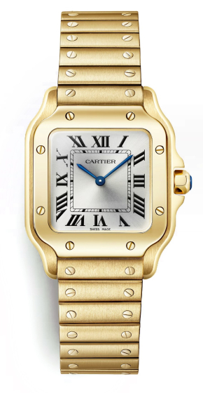Cartier Santos De Cartier Small Model WGSA0107