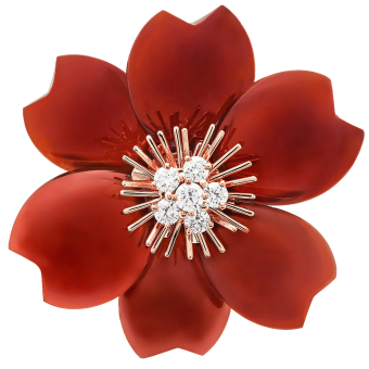 Брошь Van Cleef & Arpels Rose de Noel Medium VCARO9B600