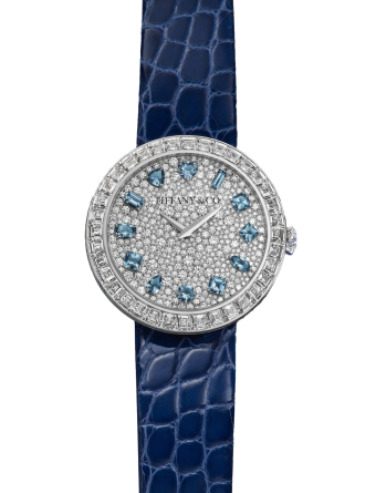 Tiffany & Co Eternity Baguette Diamond 36 mm 76537739