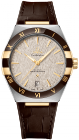 Omega Constellation Co-Axial Master Chronometer 41 mm 131.23.41.21.06.002