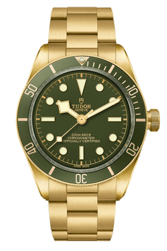 Tudor Black Bay 58 18K 39 mm M79018V-0006