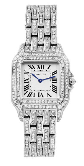 Cartier Panthere de Cartier Medium Tuning 37 x 27 mm WSPN0007 Custom