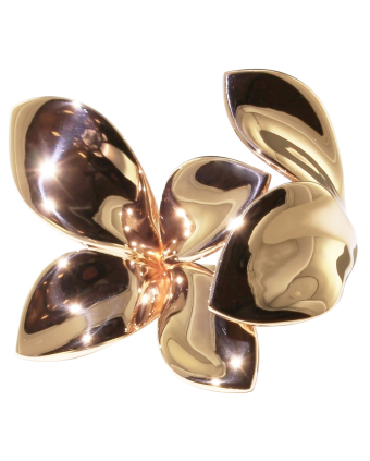 Кольцо Pasquale Bruni Giardini Segreti Five Leaves Ring 15086R