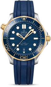 Omega Seamaster Diver 300M Co-Axial 42 mm 210.22.42.20.03.001