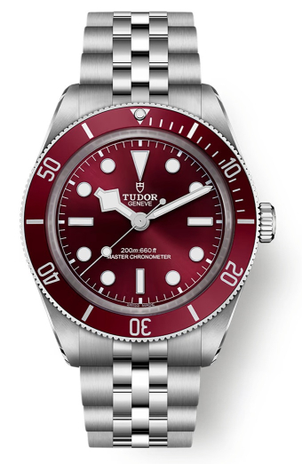 Tudor Black Bay 58 39 mm m7939a1a0ru-0001