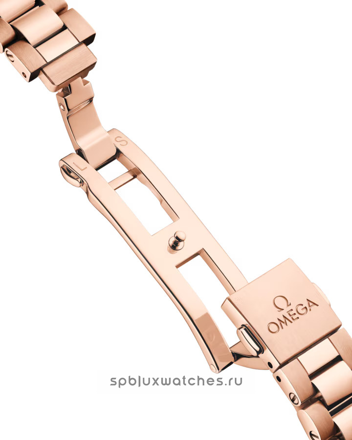 Omega Seamaster Aqua Terra Co-Axial Master Chronometer 150M 30 mm 220.55.30.20.61.001