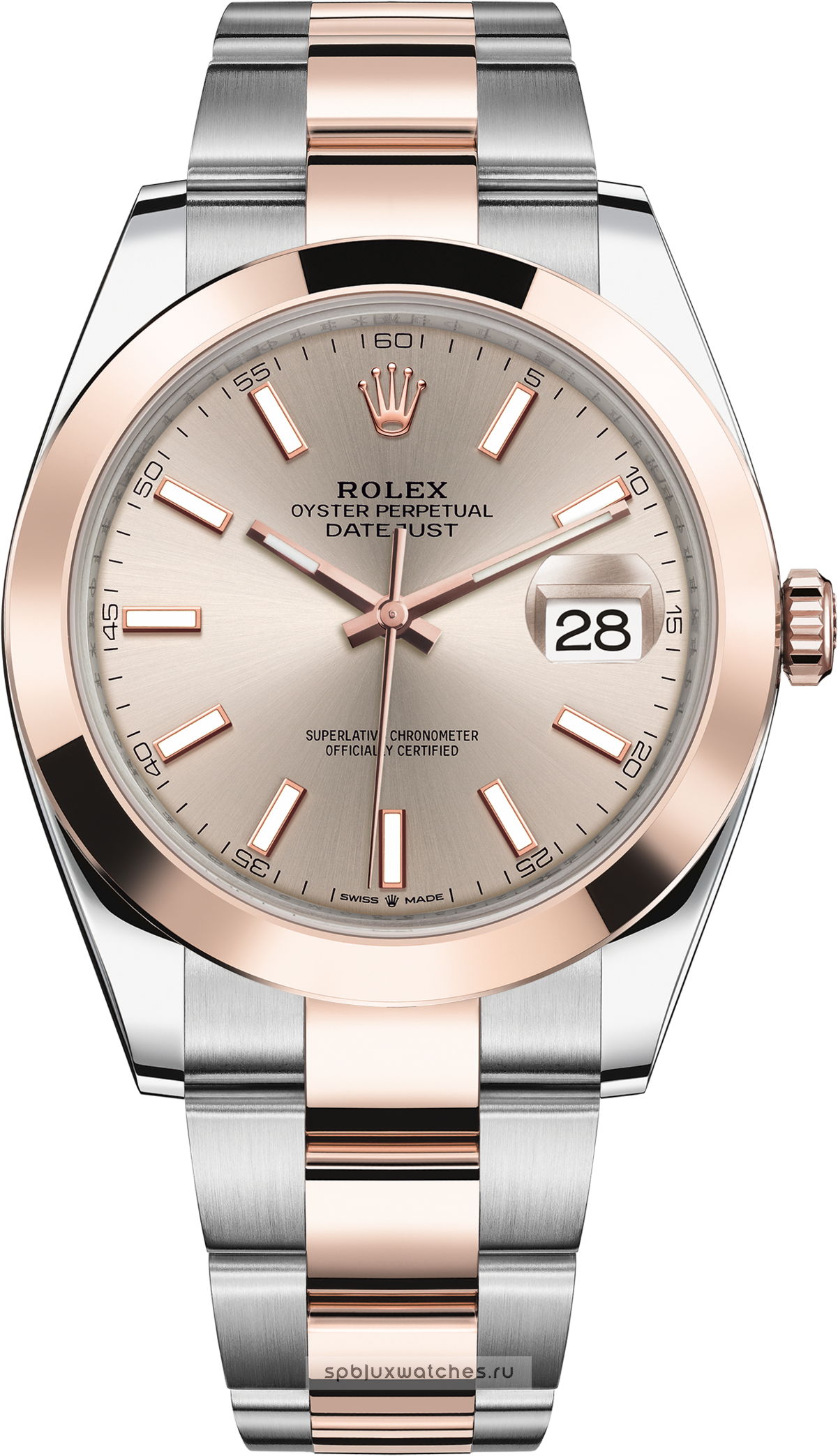 rolex model 126301