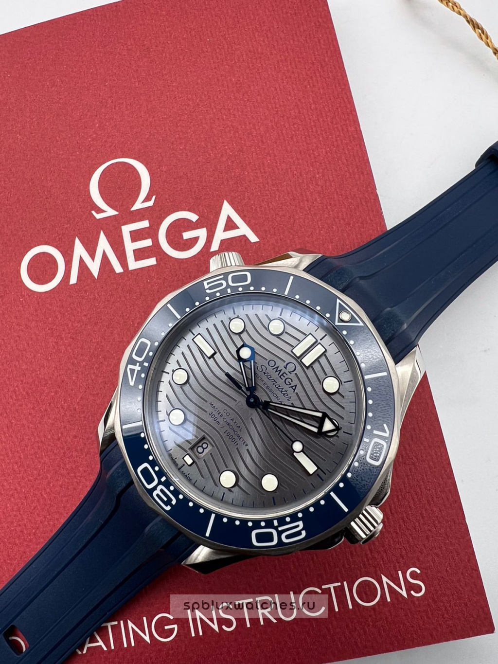 Omega Seamaster Diver 300M Co-Axial Master Chronometer 42 mm 210.32.42.20.06.001