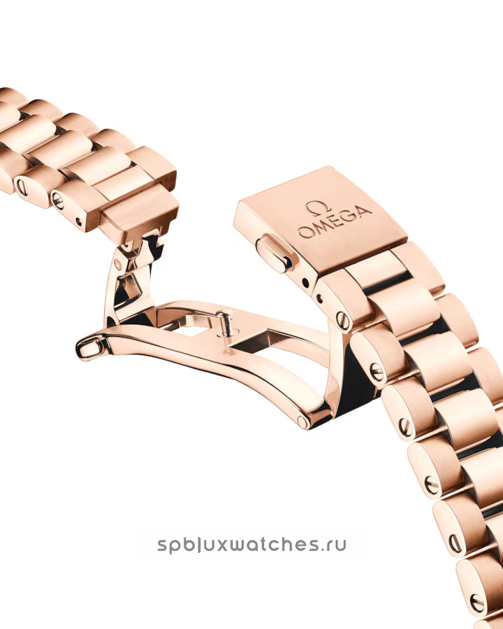 Omega Seamaster Aqua Terra Co-Axial Master Chronometer 150M 30 mm 220.55.30.20.61.001