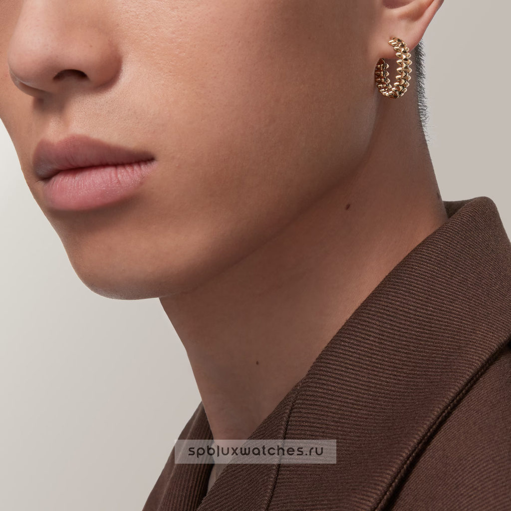 Серьги Cartier Clash de Cartier Small Earrings B8301490