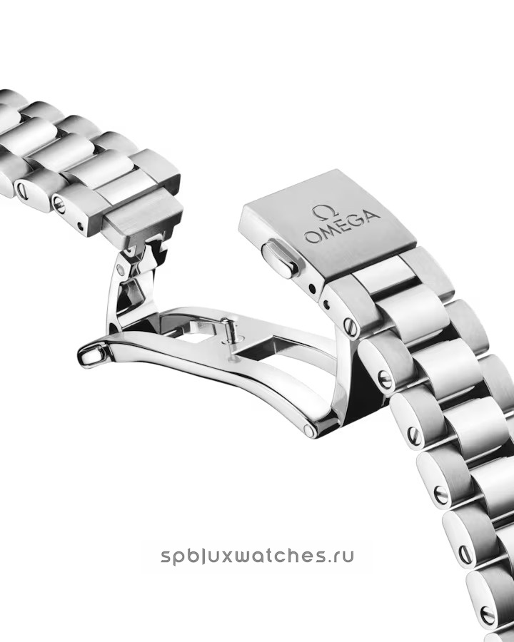 Omega Seamaster Aqua Terra Co-Axial Master Chronometer 150M 30 mm 220.10.30.20.09.001