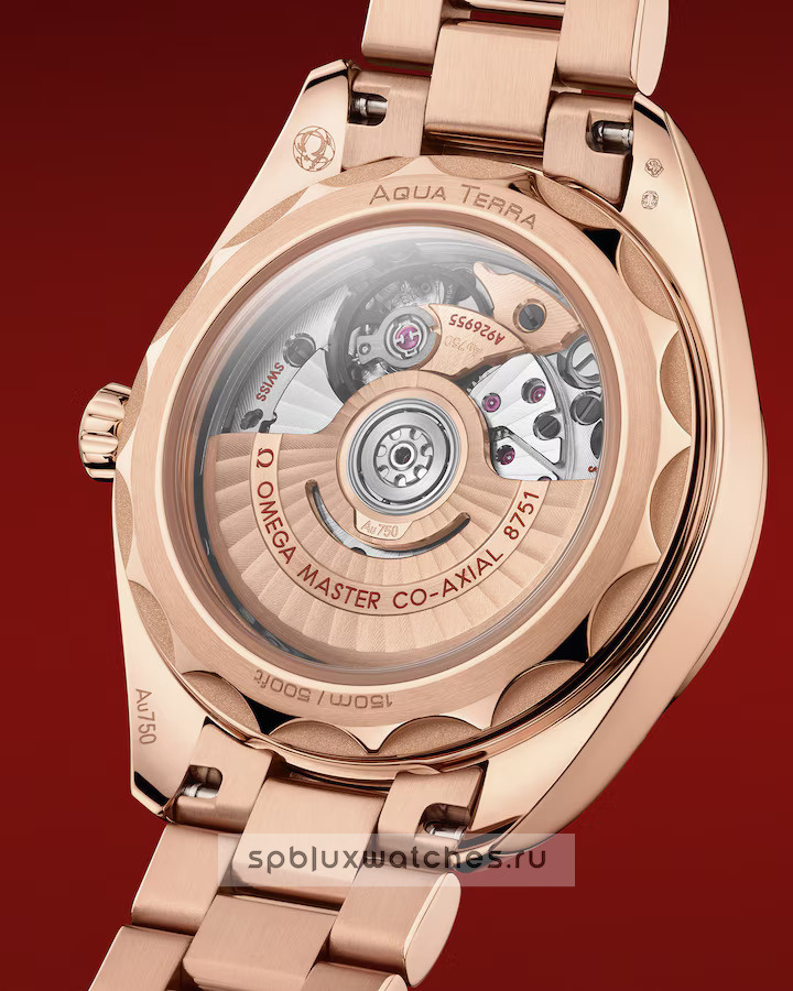 Omega Seamaster Aqua Terra Co-Axial Master Chronometer 150M 30 mm 220.55.30.20.61.001