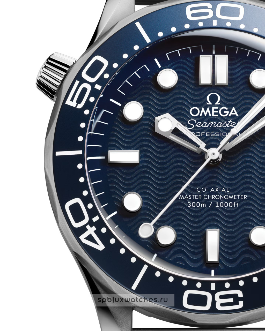 Omega Seamaster Diver 300M Co-Axial Master Chronometer James Bond 60th Anniversary 42 mm 210.30.42.20.03.002