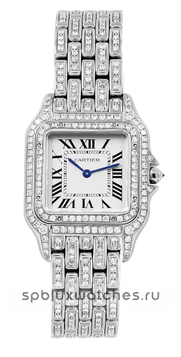 Cartier Panthere de Cartier Medium Tuning 37 x 27 mm WSPN0007 Custom
