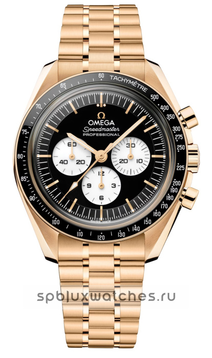 Omega Speedmaster Moonwatch Professional 42 mm 310.60.42.50.01.002