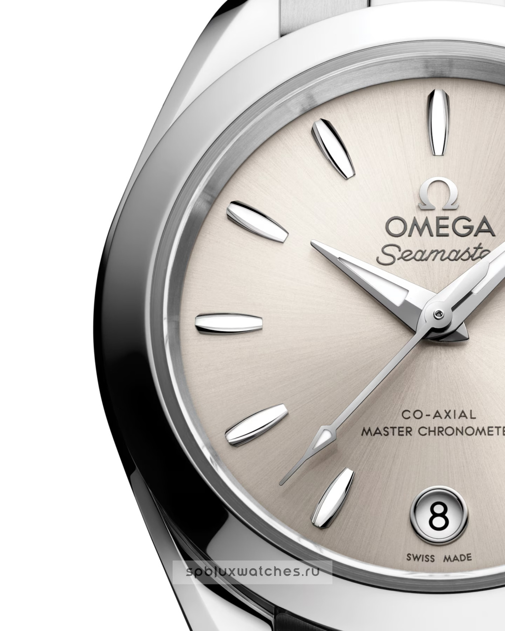 Omega Seamaster Aqua Terra Co-Axial Master Chronometer 150M 30 mm 220.10.30.20.09.001