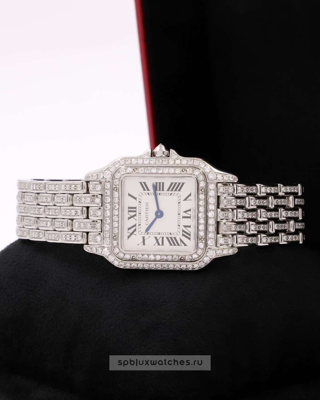 Cartier Panthere de Cartier Medium Tuning 37 x 27 mm WSPN0007 Custom