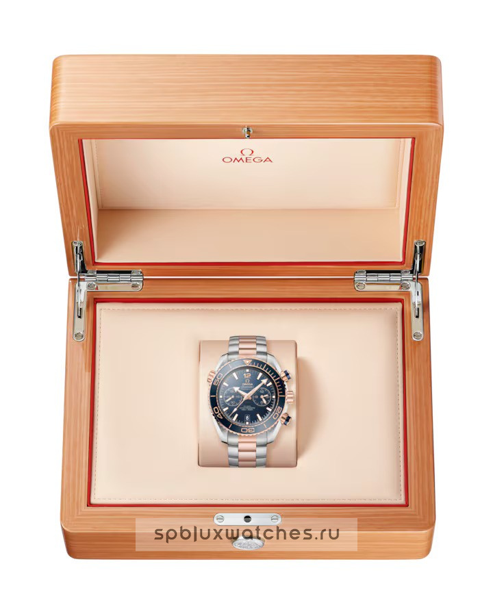 Omega Seamaster Planet Ocean 600m Co-Axial Master Chronometer Chronograph 45.5 mm 215.20.46.51.03.001