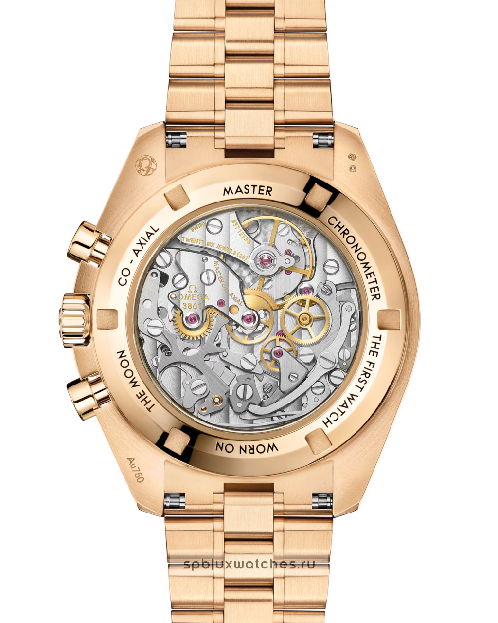 Omega Speedmaster Moonwatch Professional 42 mm 310.60.42.50.01.002