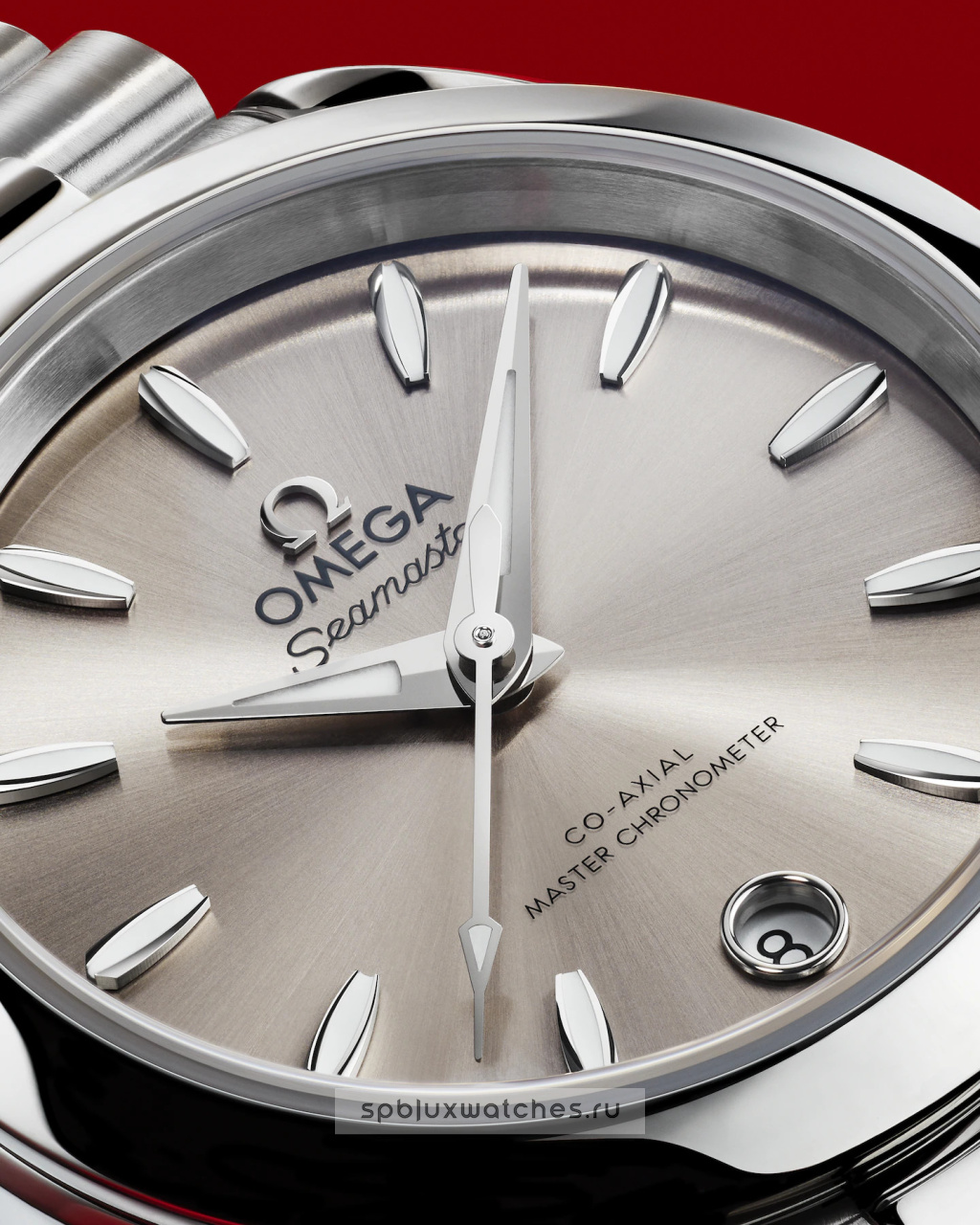 Omega Seamaster Aqua Terra Co-Axial Master Chronometer 150M 30 mm 220.10.30.20.09.001
