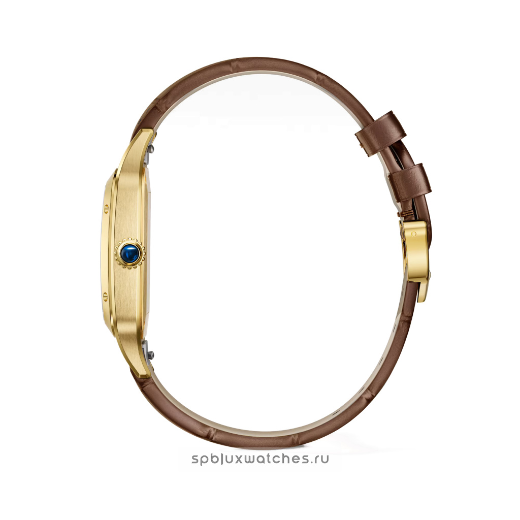 Cartier Santos-Dumont 46.6 x 33.9 mm WGSA0111