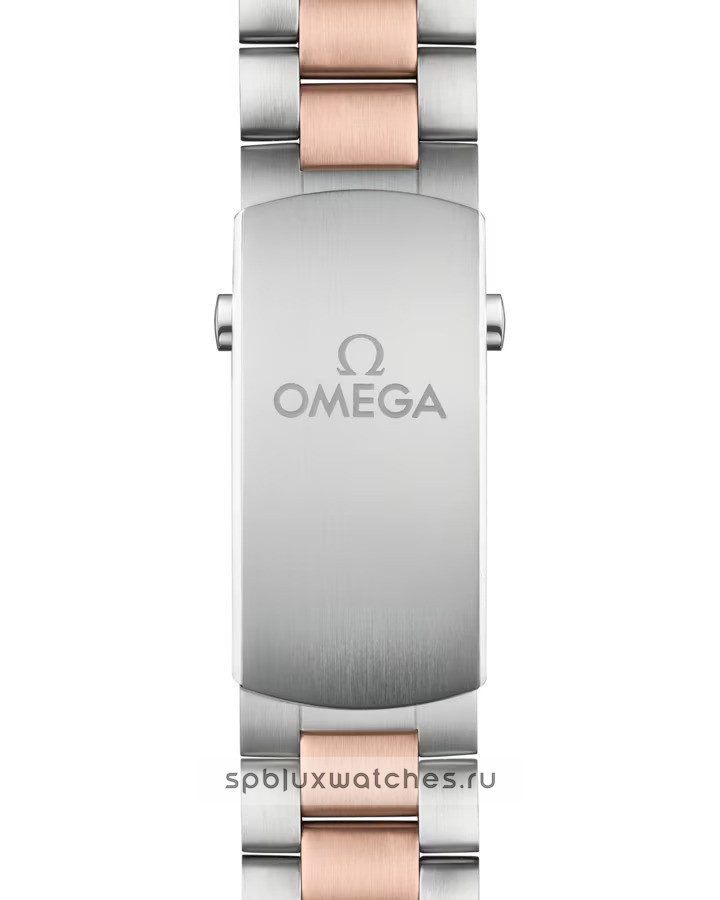 Omega Seamaster Planet Ocean 600m Co-Axial Master Chronometer Chronograph 45.5 mm 215.20.46.51.03.001