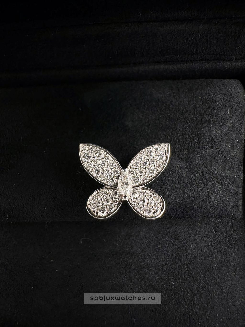 Серьги Graff Pave Butterfly Diamond Small Stud Earrings RGE1152