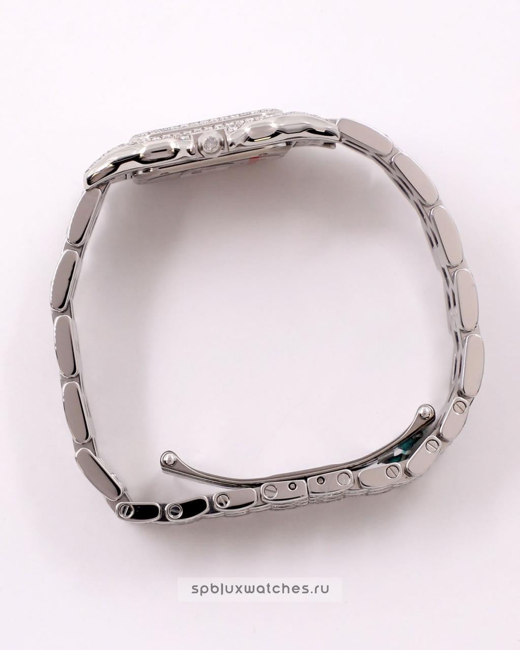 Cartier Panthere de Cartier Medium Tuning 37 x 27 mm WSPN0007 Custom