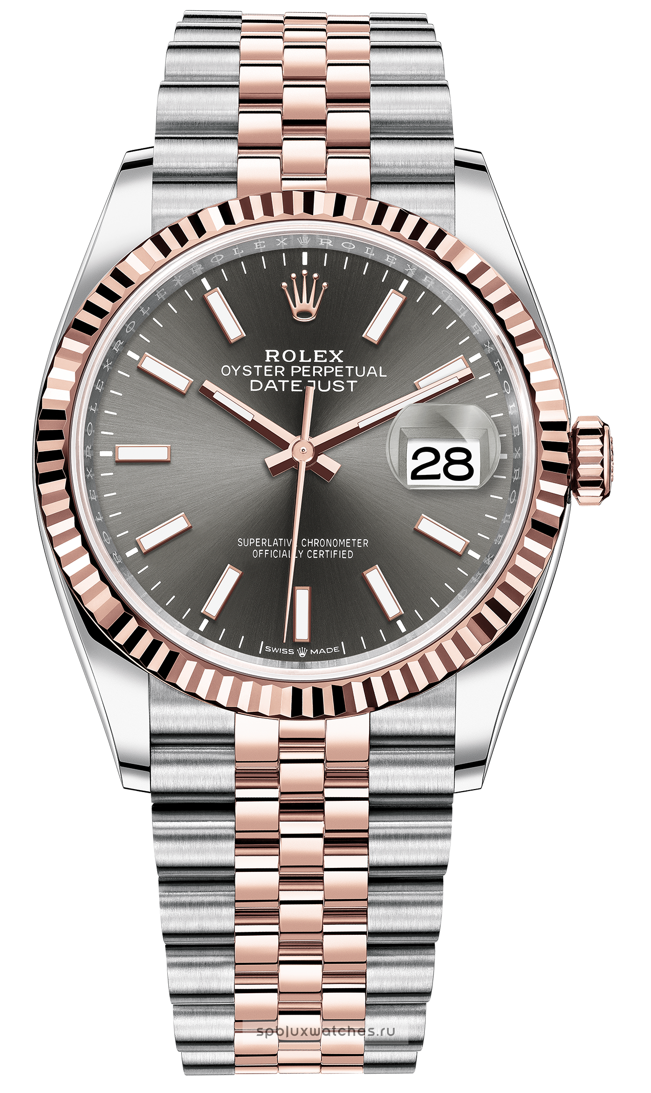 rolex datejust rhodium 36