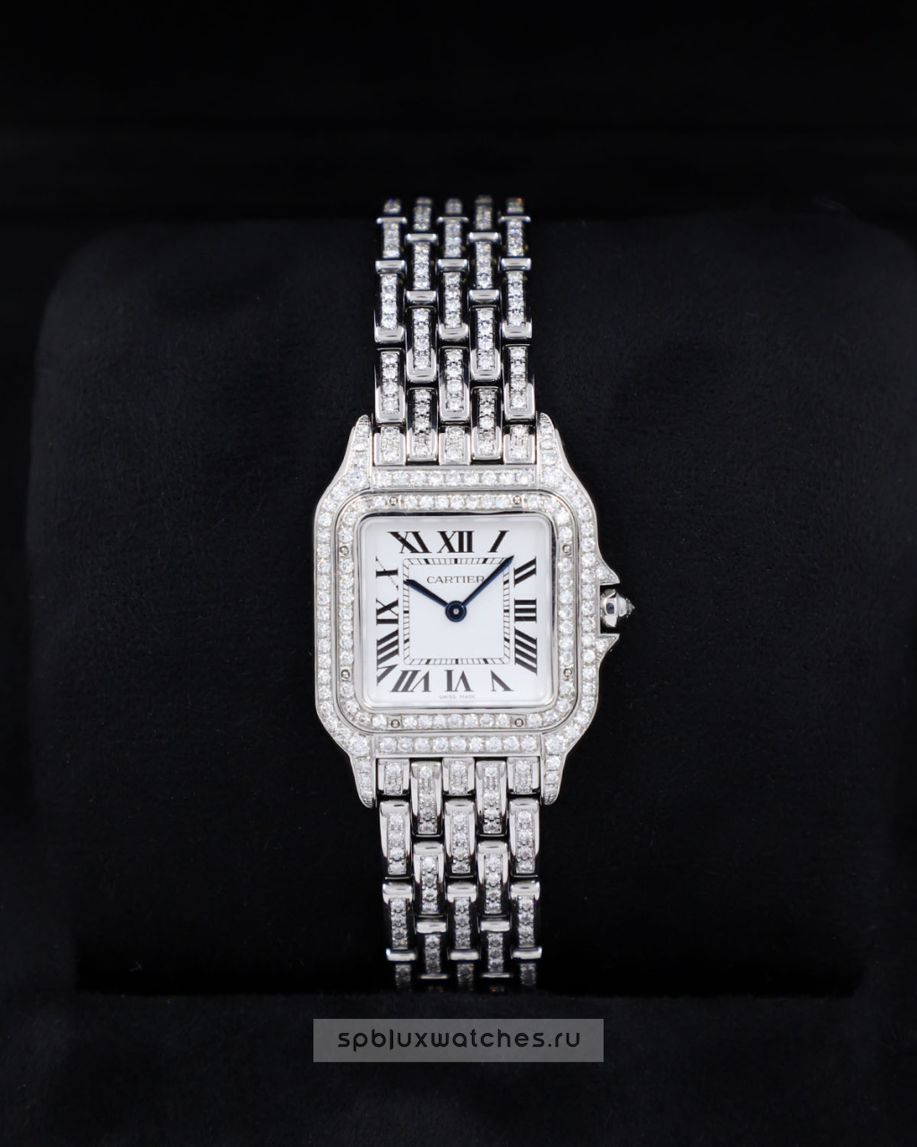 Cartier Panthere de Cartier Medium Tuning 37 x 27 mm WSPN0007 Custom