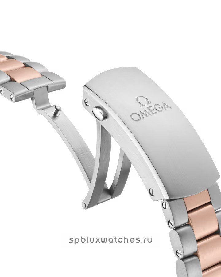 Omega Seamaster Planet Ocean 600m Co-Axial Master Chronometer Chronograph 45.5 mm 215.20.46.51.03.001