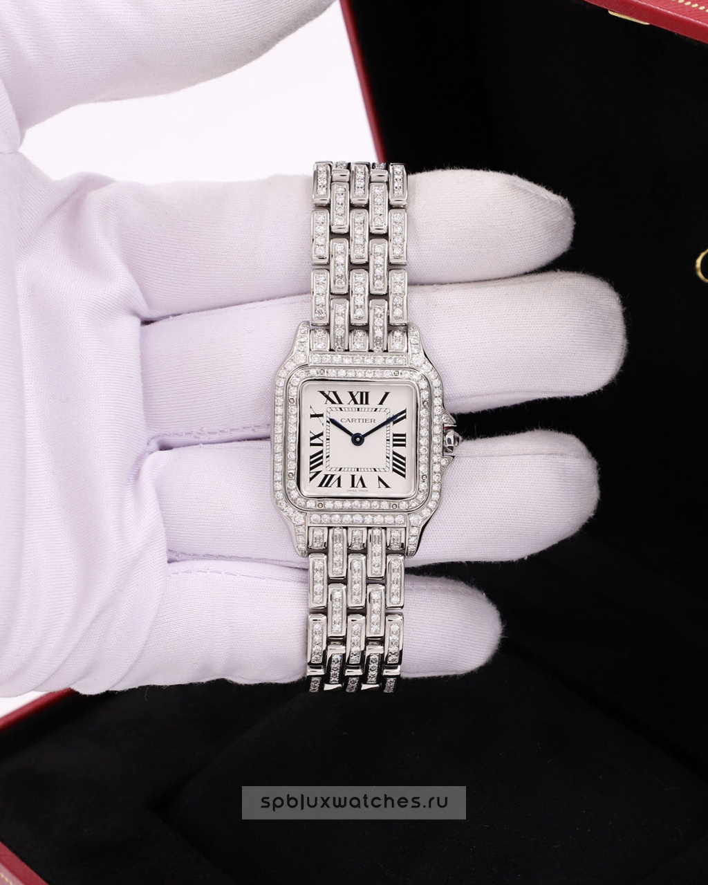 Cartier Panthere de Cartier Medium Tuning 37 x 27 mm WSPN0007 Custom