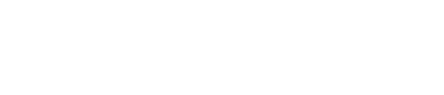 nikonov logo